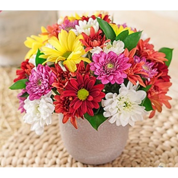 Mixed Daisies in a Pottery Vase Petite